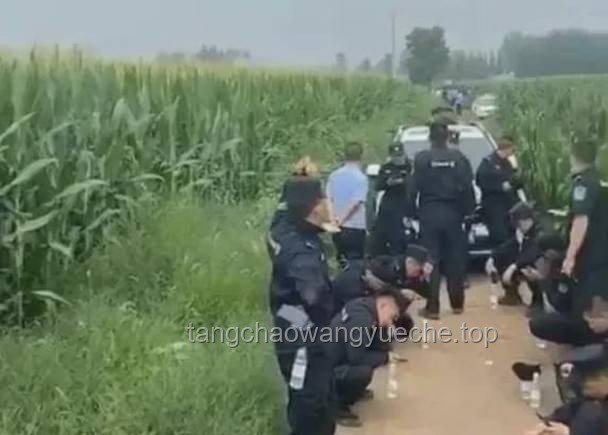 应对女生考法警因极端言论曝光问题的解决方案